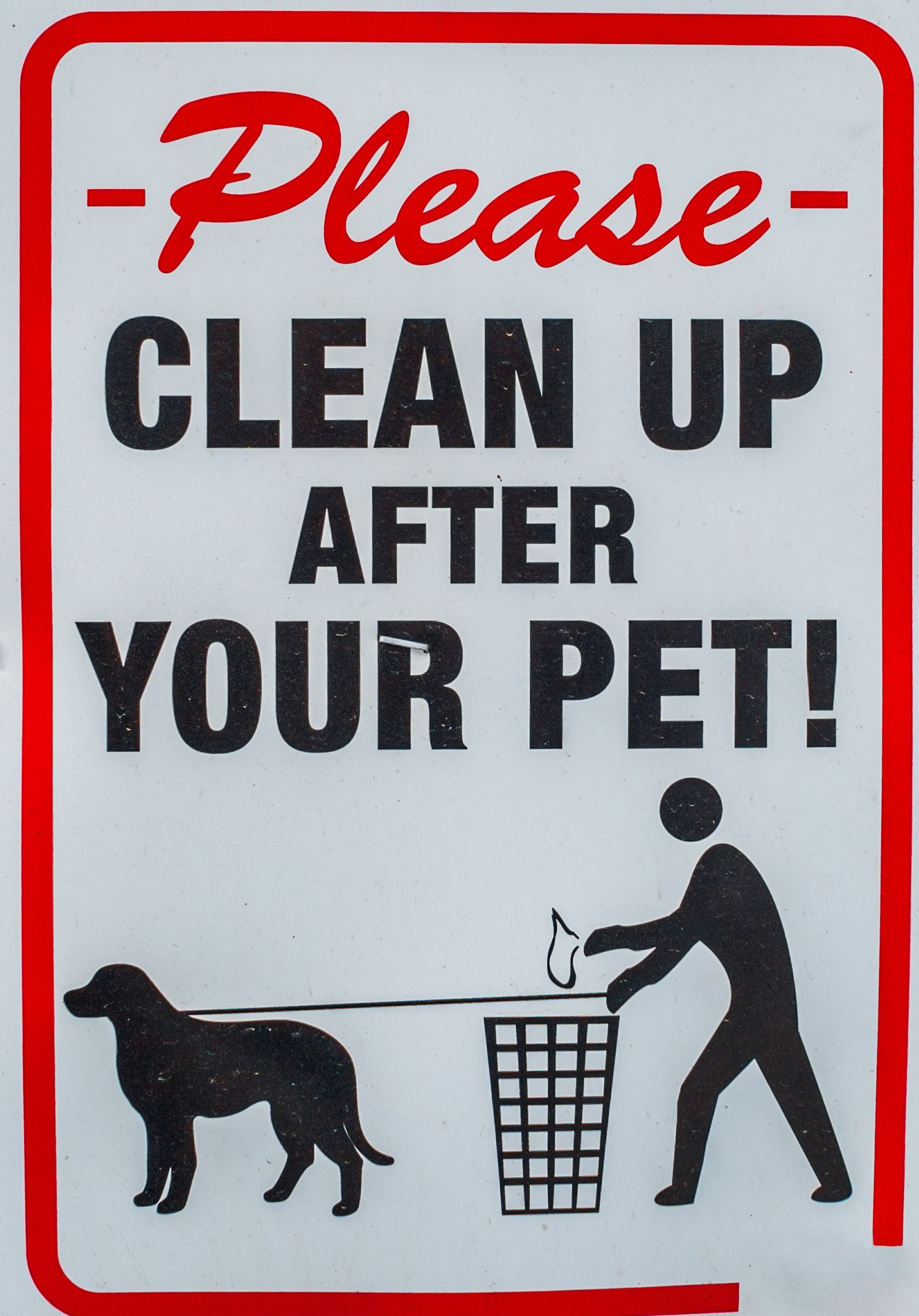 clean up after your pet image