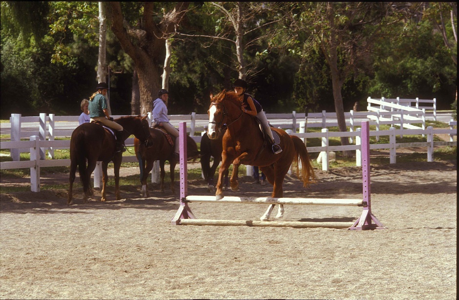 Horse Jumping at Dapplegray