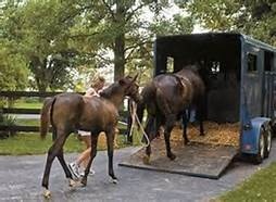 horse trailer